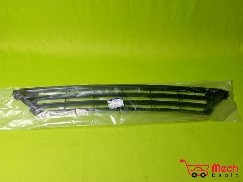 Grille, Radiator Lower (Black)